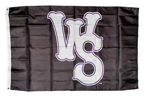 3'x5' Winston-Salem Dash Team Flag
